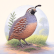 Quail tails